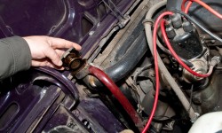 Suspendisse arcu nisl